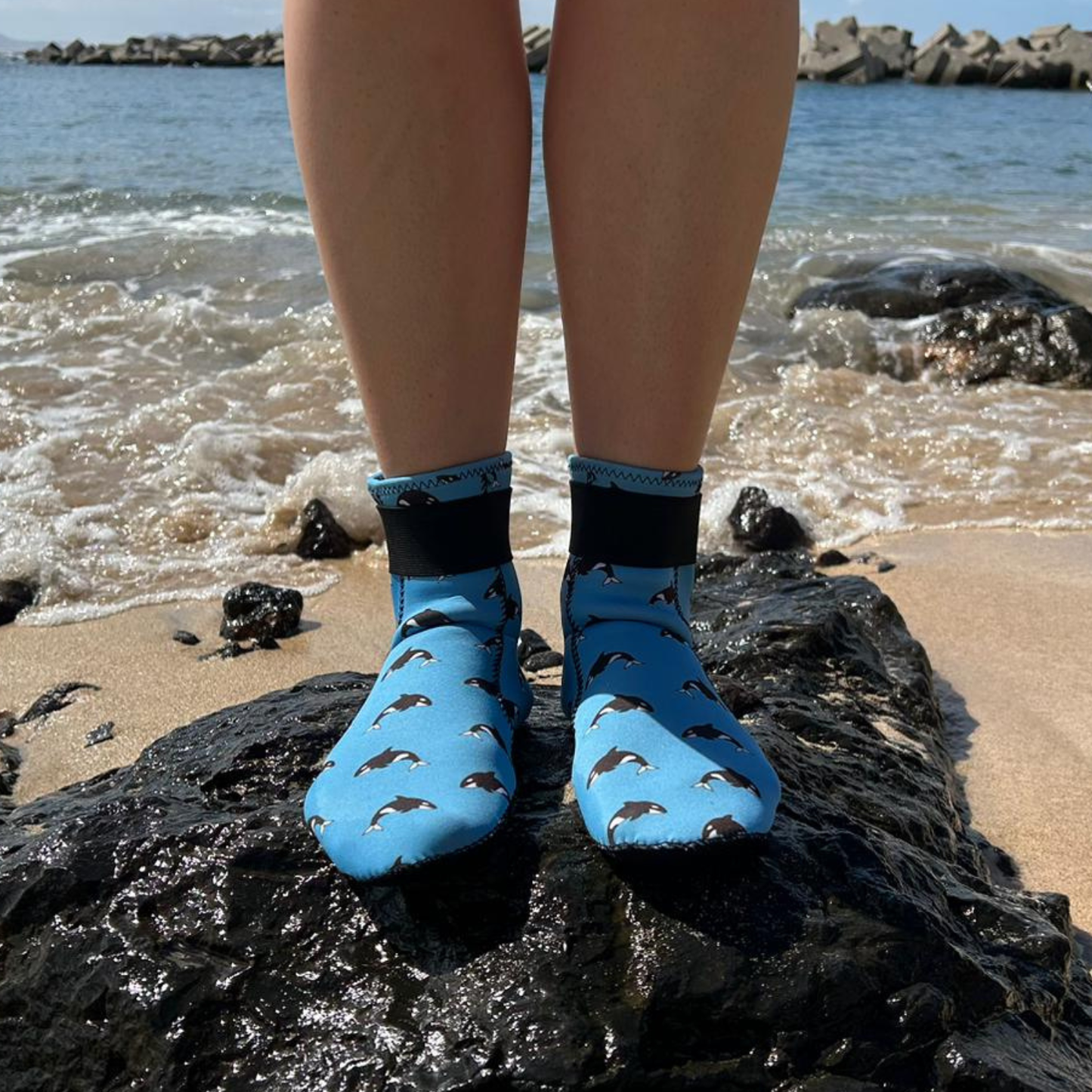 Person wearing blue neoprene beach shoes with orca patterns on a rocky beach.