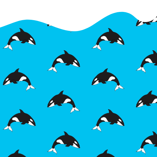 Pattern of orcas on a blue background