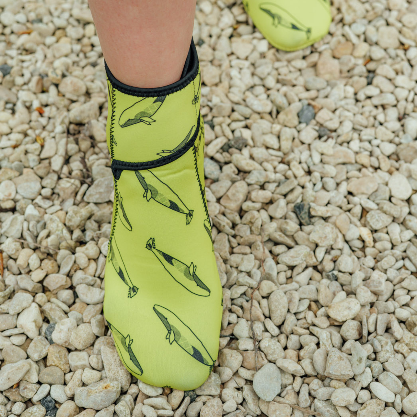 Yellow neoprene swimming boots with black whale pattern on a gravel surface